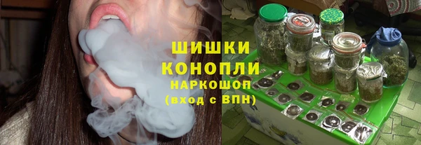 сатива Заводоуковск