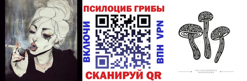 Псилоцибиновые грибы Cubensis  Купить закладки  Окуловка 